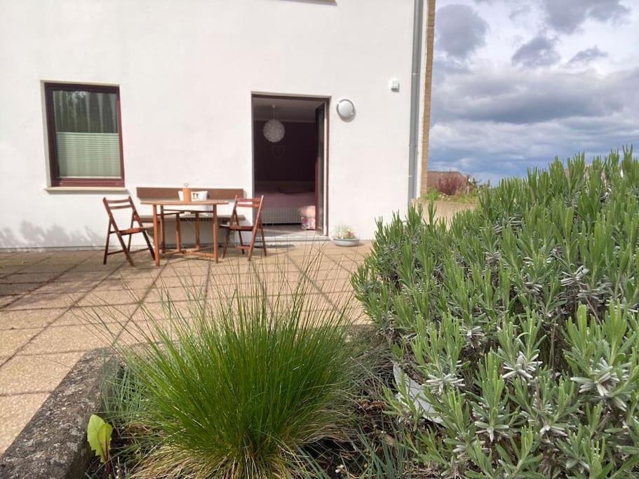 Apartment Am Golfplatz Obernkirchen Eksteriør bilde